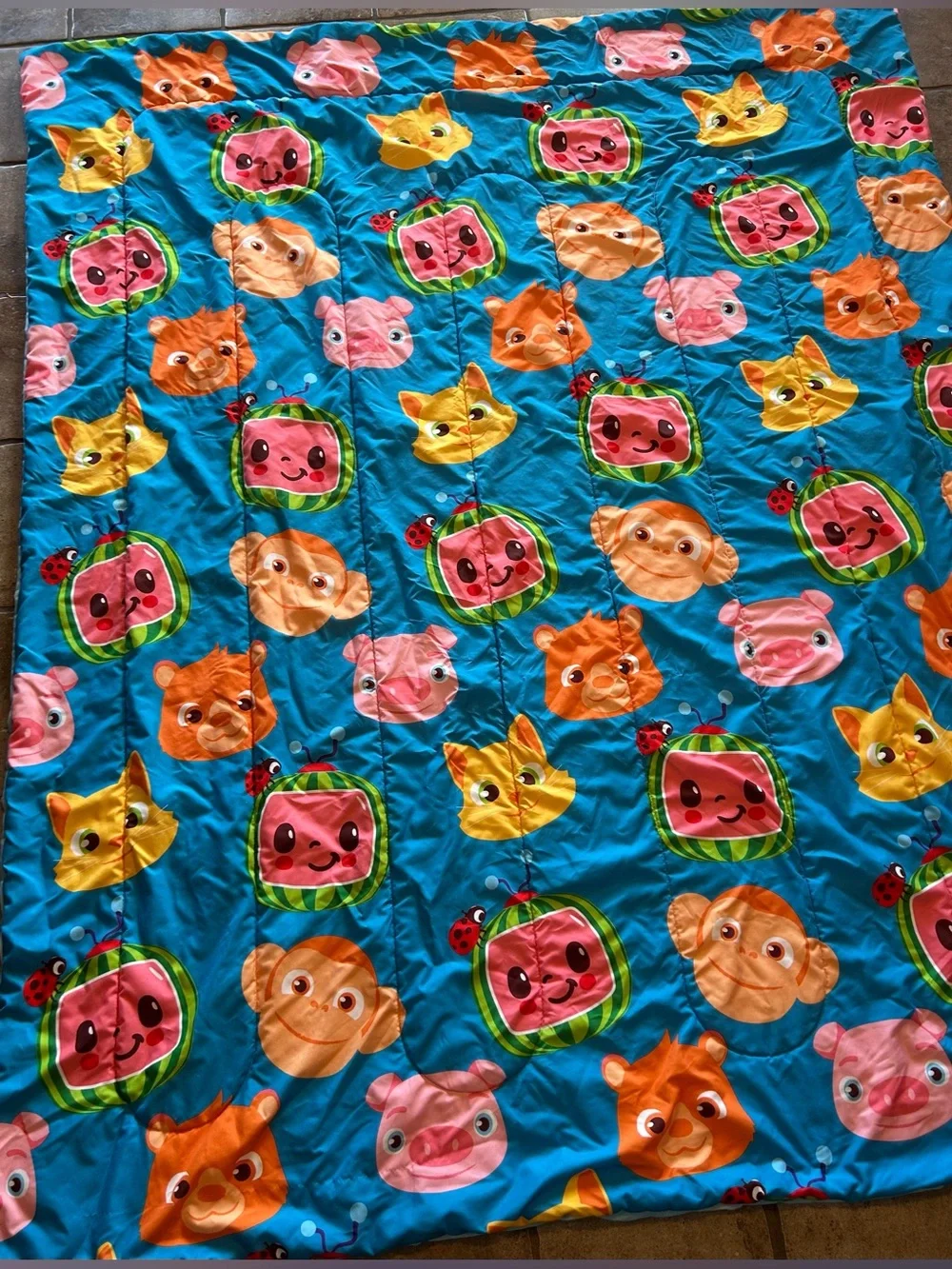 Moonbug Cocomelon Reversible Twin/Full Size Comforter. 64 X 86 Inch.